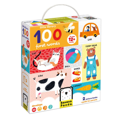 Little Library 100 First Words 12m+ Baby Books Set a book by Banana Panda - Bookshop.org US