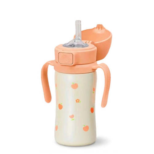 Grosmimi Stainless Steel Straw Cup with Flip Top - 10oz (12 Months+)