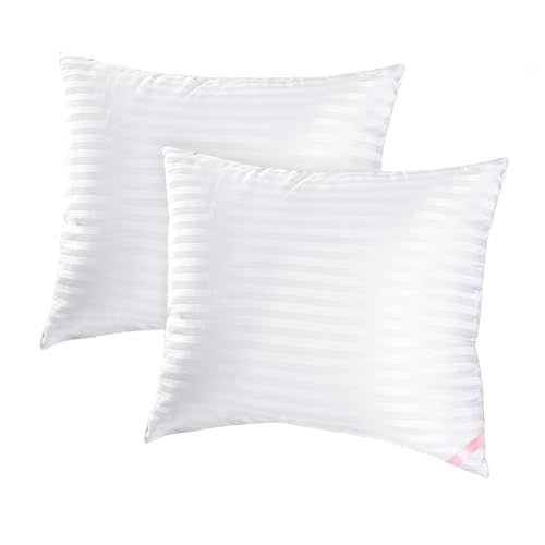 EIUE Throw Pillow Inserts, Machine Washable Pillows,Premium Polyester Fiber Fill for Sofa Bed & Decorative Cushions (White, 20x20inch)