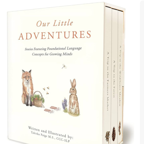 Our Little Adventures: Stories Featuring Foundational Language Concepts for Growing Minds (Tabitha Paige Children's Book Series)