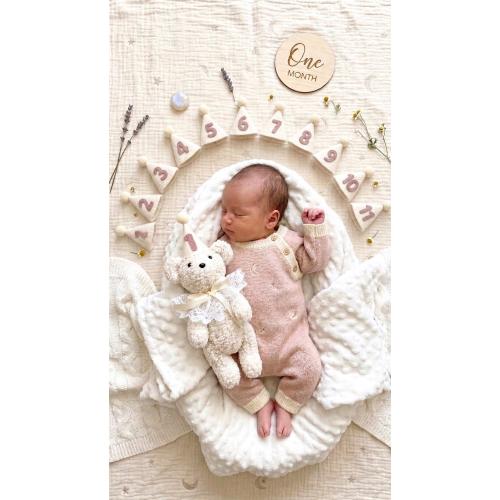 Monthly Milestone Teddy Bear Props, Newborn Baby Photo Props, Milestone Age Numbers, First Birthday Bear, Monthly Photo Prop Set