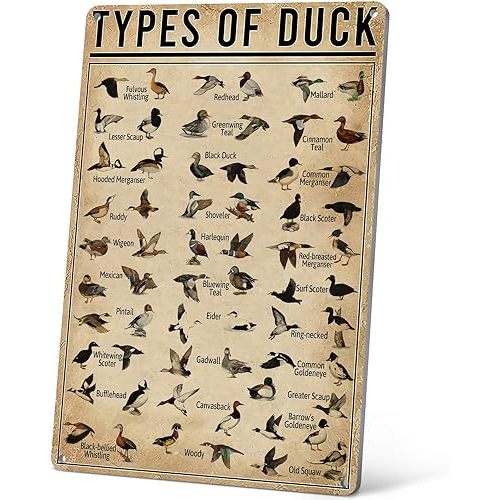 HYBLOM Vintage Mallard Duck Hunting Decor Tin Sign - Home Bathroom Nursery Wall Art, Duck Knowledge Metal Sign 12x8 Inch