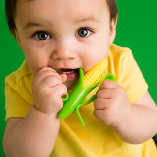 Corn Cob Infant Toothbrush