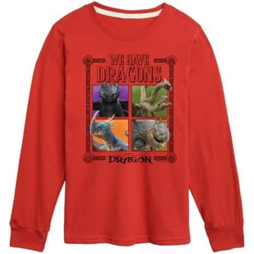 How to Train Your Dragon - We Have Dragons - Toddler and Youth Long Sleeve Tee