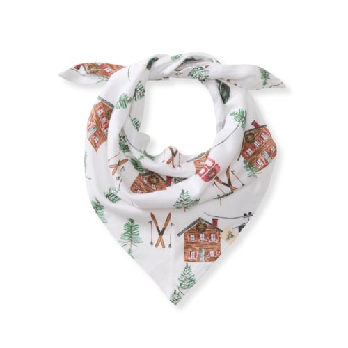 Ski The Alps Matching Family Pet Bandana – Burt's Bees Baby