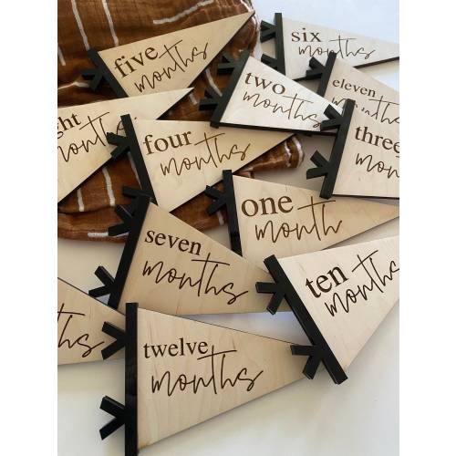 Baby Monthly Milestone Marker | Pennant Flag | Baby Photo Prop | Modern Baby | Minimalist Baby | Milestone Disc | Monthly Milestones