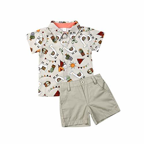 VISGOGO Toddler Baby Boy Flamingo Short Sleeve Button Down Shirt & Casual Shorts Set Summer Outfits 1-6 Years Clothes