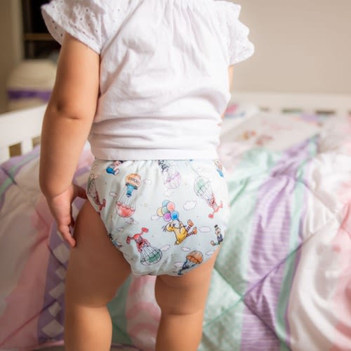 Sesame Street Cloth Diaper: Wipeable, Reusable Swim Nappy