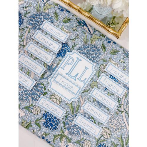 Baby Monthly Milestone Keepsake Set — Blue Bitty Dot