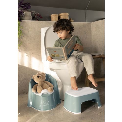 BabyBjörn Potty Training Bundle