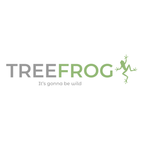 Rock Shaped Kid's Climbing Holds - Colorful Options for Playrooms! – Tree Frog Play