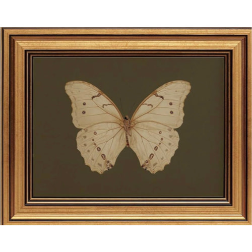 Gold Framed Wall Art Vintage Butterfly Canvas Wall Art White Butterfly Moody Insect Artwork Prints Picture for Living Room Bedroom Farmhouse Bathroom Office Decor, 8x10