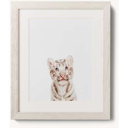 Baby Animal Close-Up Portrait - Tiger | RH Baby & Child