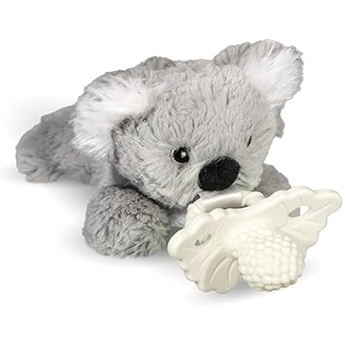 RaZbaby RaZbuddy RaZberry Teether/Pacifier Holder w/Removable Baby Teether Toy - 0M+ - Bpa Free (Koala)