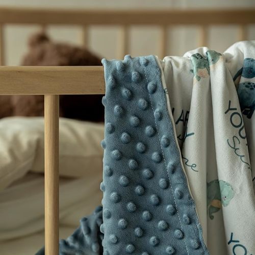 Dinosaur Baby Blankets for Boys, Super Soft Newborn Nursery Blanket with Double Layer Dotted Backing - Blue Babies Minky, Cozy Printed Bed Throw Blanket (30" x 40")