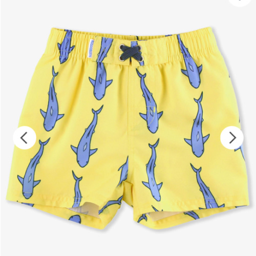 Animal Swim Trunks