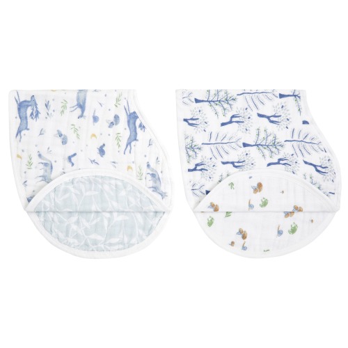 Outdoors Organic Cotton 2pk | aden + anais