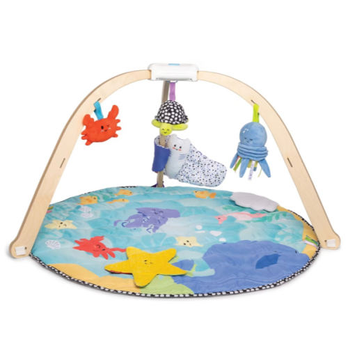 Melissa & Doug Ocean Easy-Fold Play Gym Developmental Toy for Infants with Reversible Mat: Animal Prints, Multiple Textures, Wood, Fabric