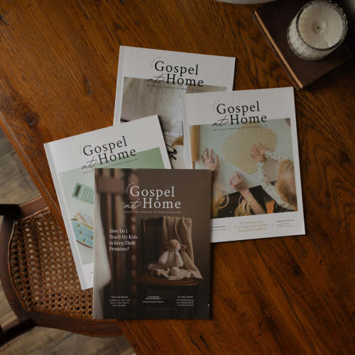 Gospel at Home Subscription |TDGC – The Daily Grace Co.