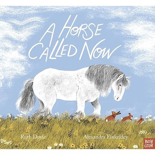 A Horse Called Now Book