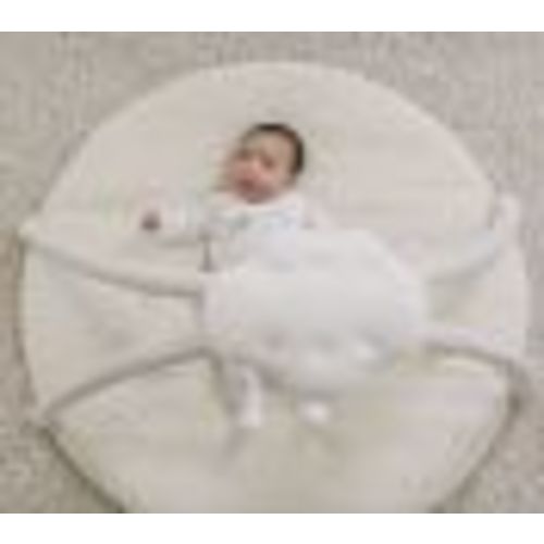 Light-Up & Musical Activity Play Gym