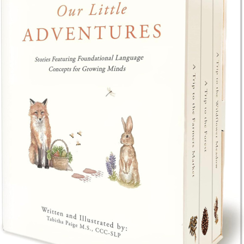 Our Little Adventures: Stories Featuring Foundational Language Concepts for Growing Minds (Tabitha Paige Children's Book Series)