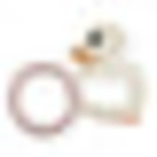Kawan Duck & Ring Teethers Gift Set – Heveaplanet.com