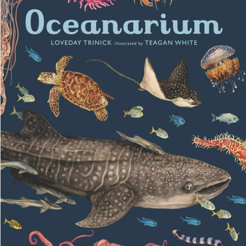 Oceanarium: Welcome to the Museum