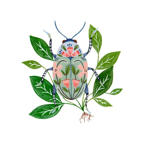 Beetle Giclee Print (7x7")