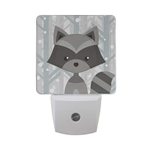 Cartoon Raccoon Pattern Night Light Set of 2, Plug-in Sensor LED Light Lamp