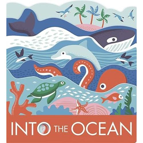 Into the Ocean: A Board Book