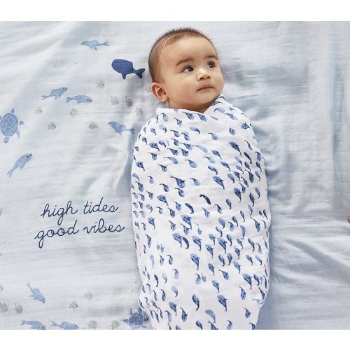 Jack Nautical Organic Muslin Swaddle Set