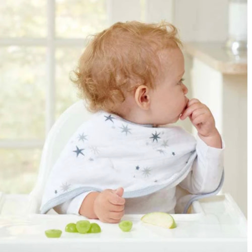 Twinkle Classic Burpy Bib 2pk | aden + anais