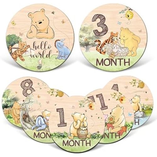 7 Pcs Winnie Bear Baby Monthly Milestone Markers