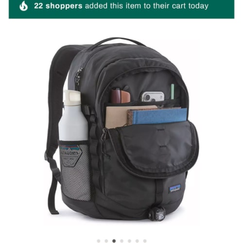 Patagonia Refugio Daypack 26L | Dick's Sporting Goods