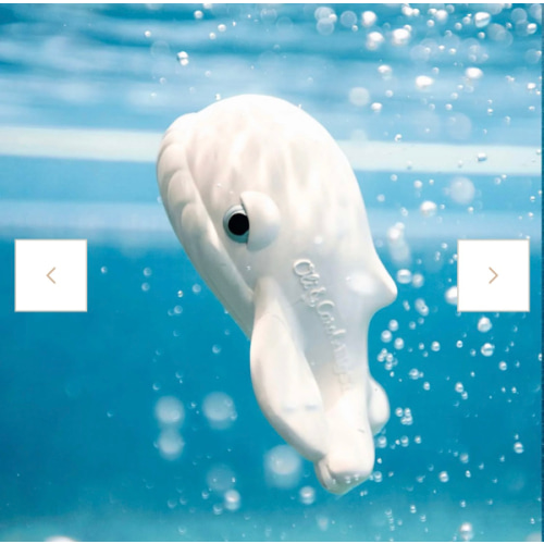 Walter the Whale Bath Toy | Oli&Carol