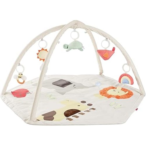 Baby Play Gym
