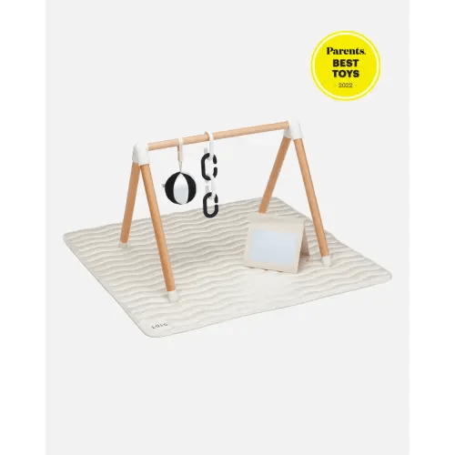 The Play Gym