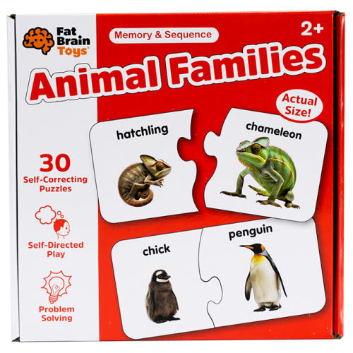 Animal Families