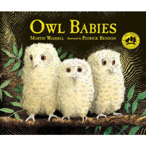 Owl Babies by Martin Waddell, Patrick Benson, Hardcover | Barnes & Noble®
