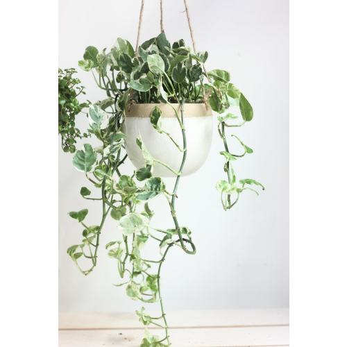 Large Ceramic Hanging Modern Boho Planter Pot in White and Beige - Etsy