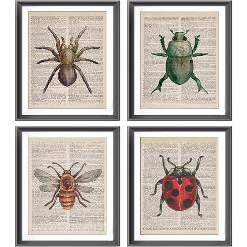 Vintage Honey Bee Spider Ladybug Beetle Dictionary Art Poster Prints for Home Kitchen Nursery Classroom Decor,Garden Forest Nature Insects Decorations Prints Wall Art Unframed 4pcs 8x10inches