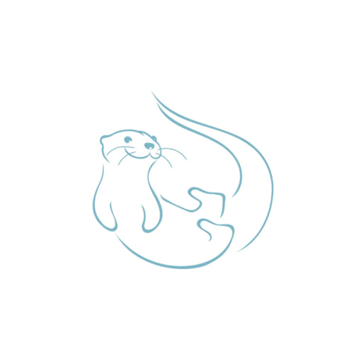 Blue Otter Toys Gift Card