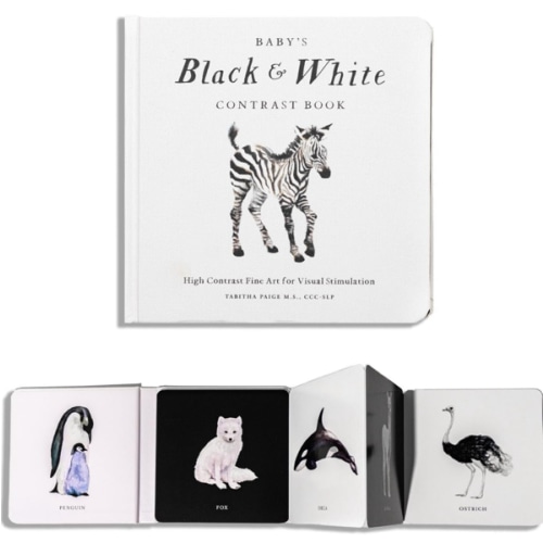Baby's Black and White Contrast Book: High-Contrast Art for Visual Stimulation at Tummy Time (Our Little Adventures Series)