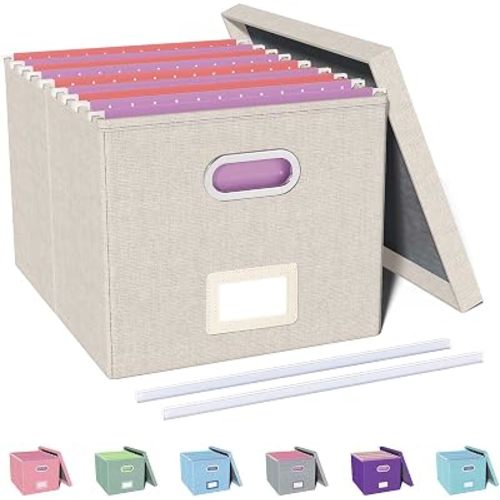 Oterri File Organizer with Lid