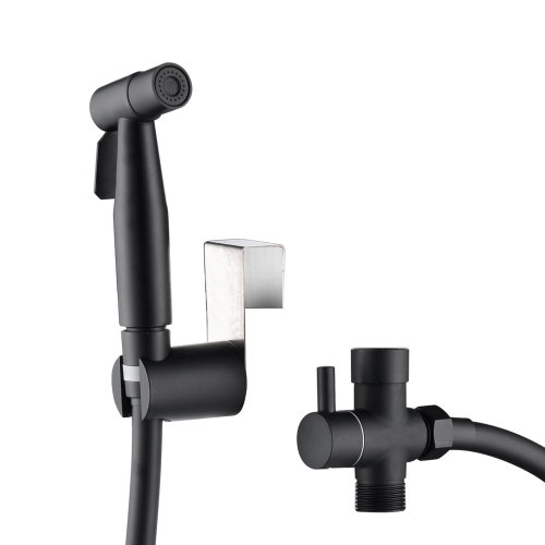 Sun Home Furnishings Sprayer Kit Toilet With Stainless Steel Hose and T-Valve Hand Held Bidet Elongated Bidet Seat & Reviews | Wayfair