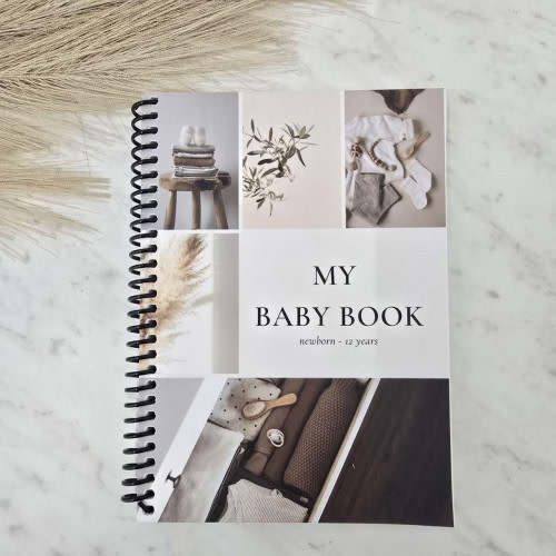 My Baby Record Book
