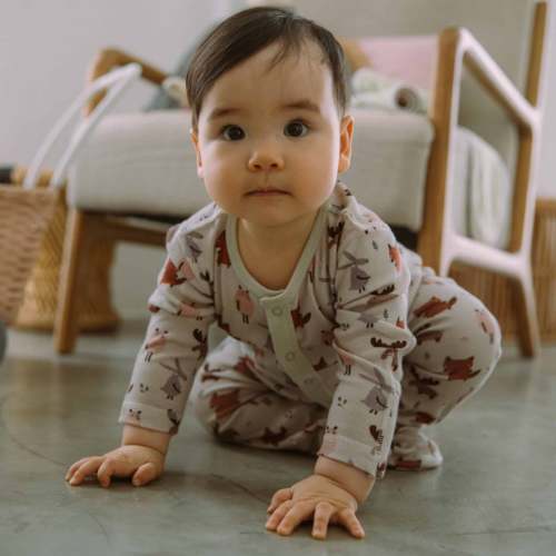 Organic Cotton Baby Sleeper, 2-Pack | Woodland + Striped