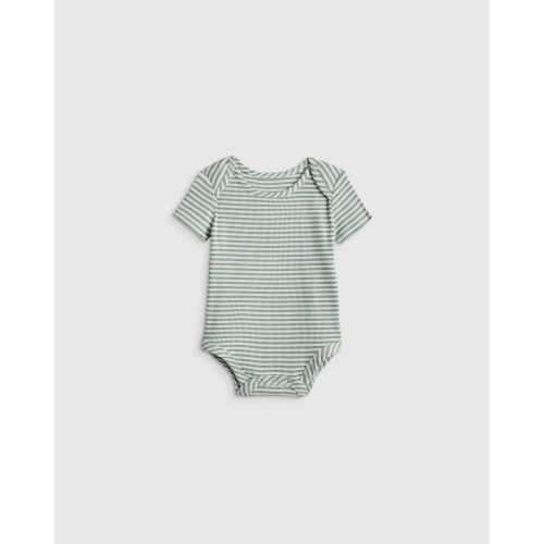 Softest Rib Short Sleeve Bodysuit  in Green Stripe
