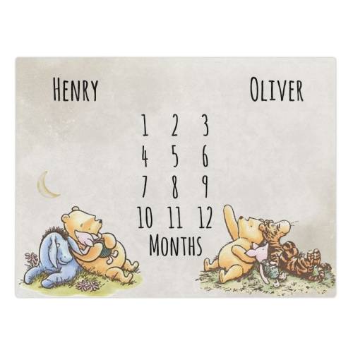 Pooh Bear Twins Baby Month Blanket, Personalized Name Monthly Milestone Blanket, Twin Winnie Neutral Nursery, Pooh Bear Twin Baby Gift